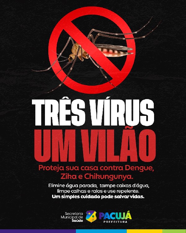 Três vírus, um vilão: o mosquito Aedes aegypti!